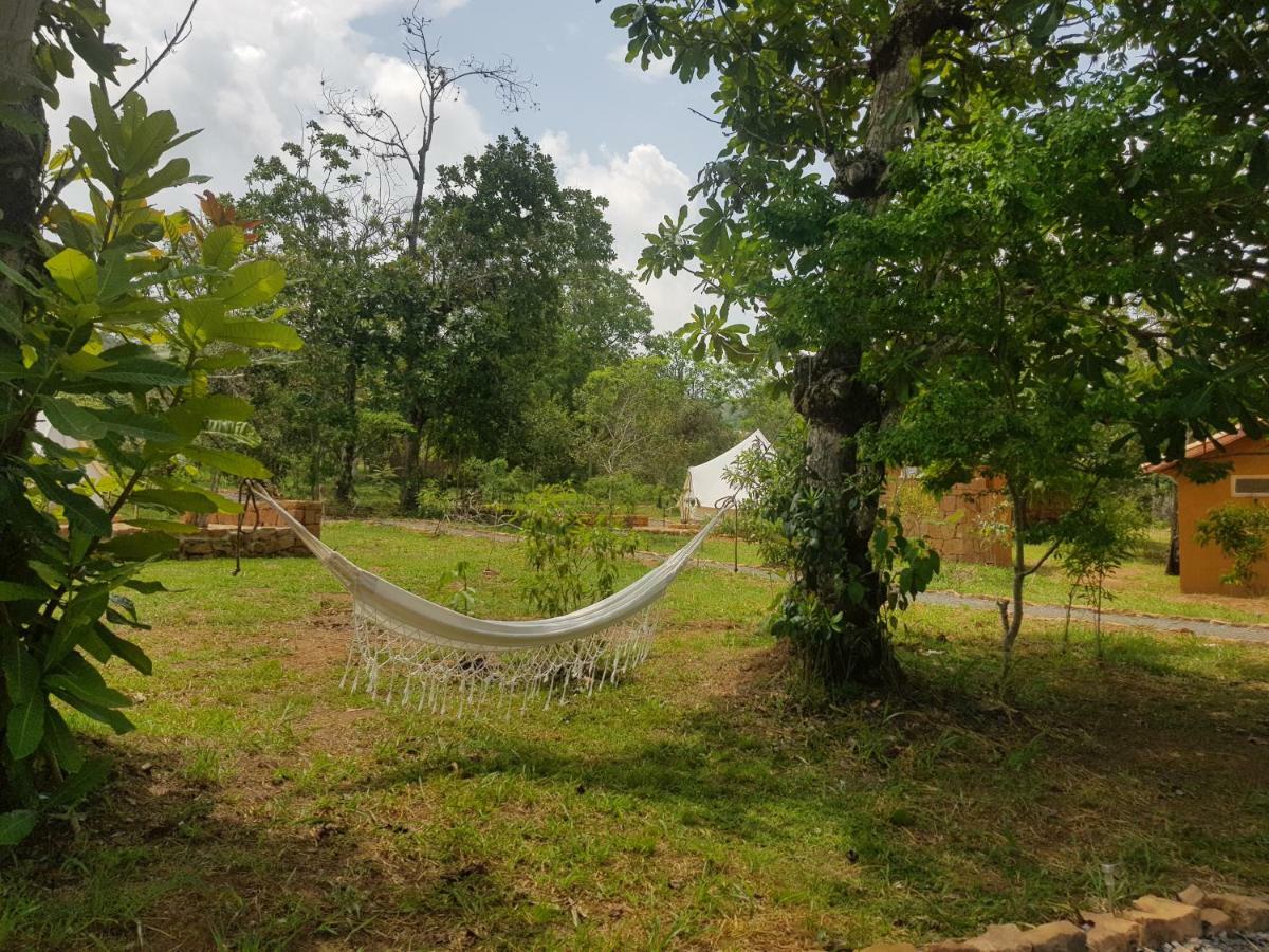 Nativo Glamping Otel Barichara Dış mekan fotoğraf